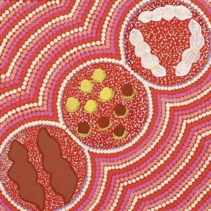 Bush Tucker by Sylvania Napurrurla Ryder