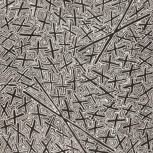 Ngatijirri Jukurrpa (Budgerigar Dreaming) by Kenneth Jungarrayi Martin