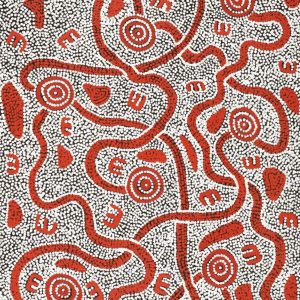 Janganpa Jukurrpa (Brush-tail Possum Dreaming)-  Mawurrji by Ritasha Nampijinpa Martin