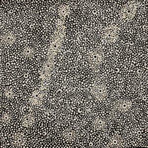 Ngapa Jukurrpa (Water Dreaming)  -  Puyurru by Shekina Nangala Sampson