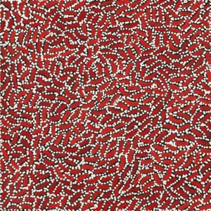 Warlukurlangu Jukurrpa (Fire country Dreaming) by Nathania Nangala Granites