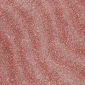 Warlukurlangu Jukurrpa (Fire country Dreaming) by Nathania Nangala Granites