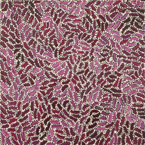 Warlukurlangu Jukurrpa (Fire country Dreaming) by Nathania Nangala Granites