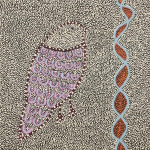 Ngalyipi Jukurrpa (Snakevine Dreaming) - Mina Mina by Geraldine Napangardi Granites