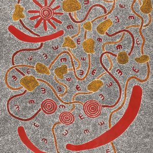 Janganpa Jukurrpa (Brush-tail Possum Dreaming)-  Mawurrji by Ritasha Nampijinpa Martin