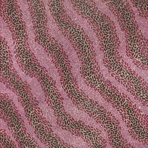 Warlukurlangu Jukurrpa (Fire country Dreaming) by Nathania Nangala Granites