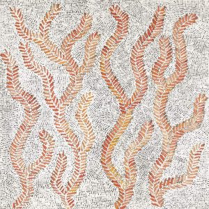 Karnta Jukurrpa (Women's Dreaming) - Bush Medicine by Patricia Nakamarra Oldfield