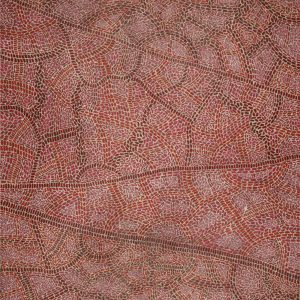 Warlukurlangu Jukurrpa (Fire country Dreaming) by Nathania Nangala Granites
