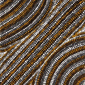 Mina Mina Jukurrpa (Mina Mina Dreaming) by Sabrina Napangardi Granites