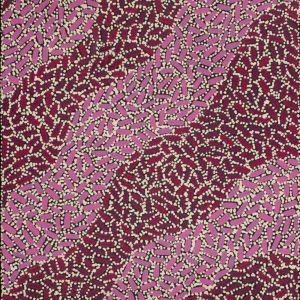 Warlukurlangu Jukurrpa (Fire country Dreaming) by Nathania Nangala Granites