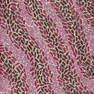 Warlukurlangu Jukurrpa (Fire country Dreaming) by Nathania Nangala Granites