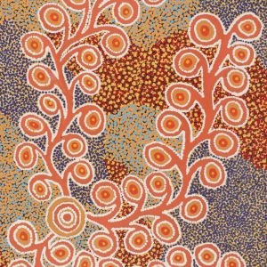 Kaliny-kalinypa / Ultukunpa Jukurrpa  -  Honey Grevillea Dreaming by Brenda Armstrong