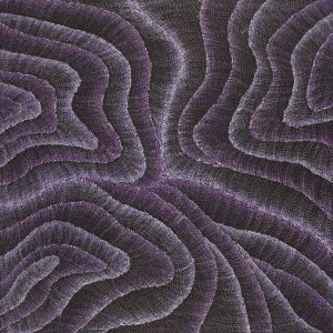 Wanakiji Jukurrpa (Bush Tomato Dreaming) by Debbie Napaljarri Brown