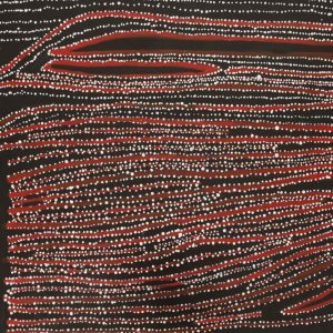 Mina Mina Jukurrpa (Mina Mina Dreaming) by Mitchell Japanangka Martin