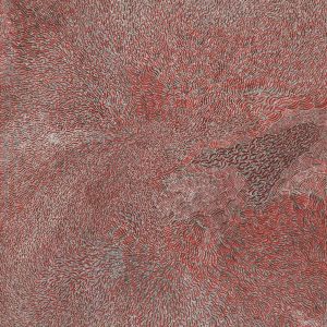 Wardapi Jukurrpa (Goanna Dreaming) - Yarripilangu by Renita Napangardi Brown