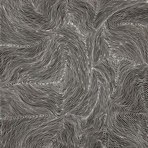 Ngurlu Jukurrpa (Native Seed Dreaming) by Senita Napangardi Granites