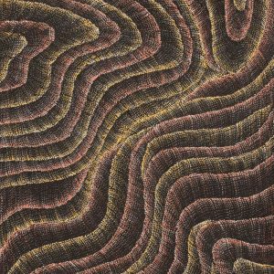 Wanakiji Jukurrpa (Bush Tomato Dreaming) by Debbie Napaljarri Brown