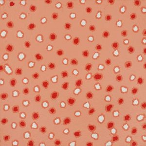 Mina Mina Jukurrpa (Mina Mina Dreaming) by Antoinette Napanangka Brown