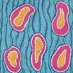 Ngapa Jukurrpa (Water Dreaming)  - Mikanji by Agnes Nampijinpa Brown