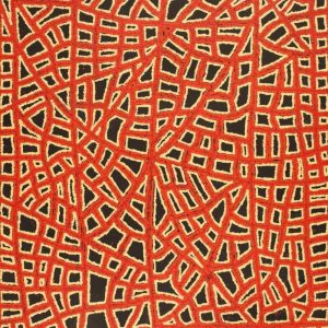 Ngapa Jukurrpa (Water Dreaming)  -  Puyurru by Delores Nangala Robertson