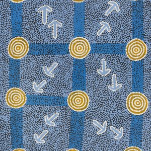 Yankirri Jukurrpa (Emu Dreaming) - Ngarlikirlangu by Michael Japaljarri Wayne