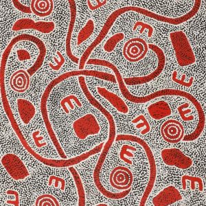 Janganpa Jukurrpa (Brush-tail Possum Dreaming)-  Mawurrji by Ritasha Nampijinpa Martin