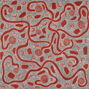 Janganpa Jukurrpa (Brush-tail Possum Dreaming)-  Mawurrji by Ritasha Nampijinpa Martin