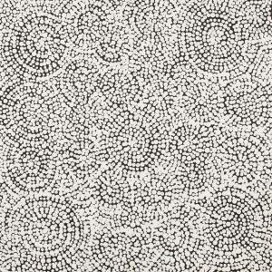 Karnta Jukurrpa (Women's Dreaming) - Bush Medicine by Patricia Nakamarra Oldfield