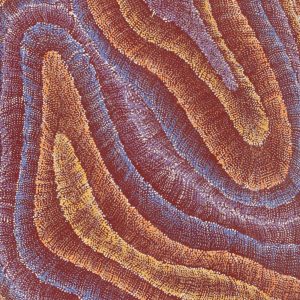 Wanakiji Jukurrpa (Bush Tomato Dreaming) by Debbie Napaljarri Brown