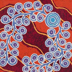 Kaliny-kalinypa / Ultukunpa Jukurrpa  -  Honey Grevillea Dreaming by Brenda Armstrong