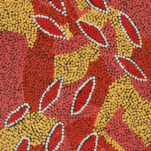 Yuparli Jukurrpa (Bush Banana Dreaming) by Marita Napanangka Marshall