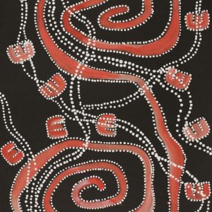 Janganpa Jukurrpa (Brush-tail Possum Dreaming)-  Mawurrji by Stephanie Napurrurla Nelson
