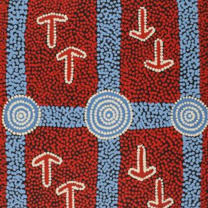 Yankirri Jukurrpa (Emu Dreaming) - Ngarlikirlangu by Michael Japaljarri Wayne