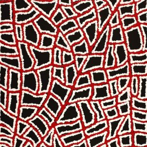 Ngapa Jukurrpa (Water Dreaming)  -  Puyurru by Delores Nangala Robertson