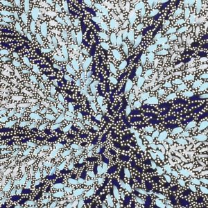 Warna Jukurrpa (Snake Dreaming) by Valma Nakamarra White