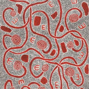 Janganpa Jukurrpa (Brush-tail Possum Dreaming)-  Mawurrji by Ritasha Nampijinpa Martin