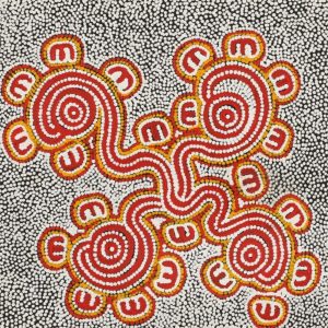 Janganpa Jukurrpa (Brush-tail Possum Dreaming)-  Mawurrji by Ritasha Nampijinpa Martin