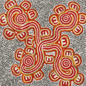 Janganpa Jukurrpa (Brush-tail Possum Dreaming)-  Mawurrji by Ritasha Nampijinpa Martin