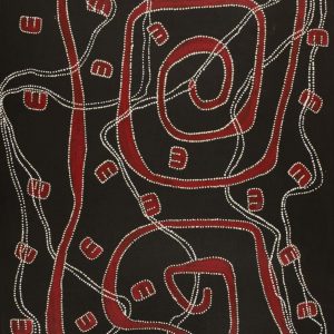 Janganpa Jukurrpa (Brush-tail Possum Dreaming)-  Mawurrji by Stephanie Napurrurla Nelson