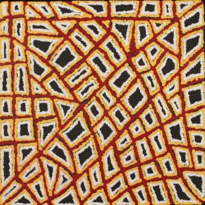Ngapa Jukurrpa (Water Dreaming)  -  Puyurru by Delores Nangala Robertson