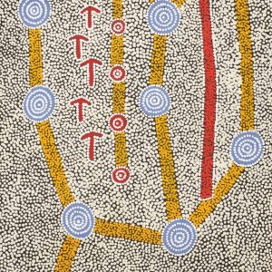 Yankirri Jukurrpa (Emu Dreaming) - Ngarlikirlangu by Michael Japaljarri Wayne