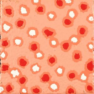 Mina Mina Jukurrpa (Mina Mina Dreaming) by Warlukurlangu Artists