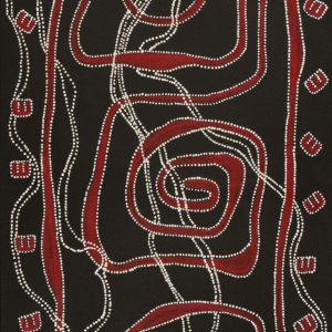 Janganpa Jukurrpa (Brush-tail Possum Dreaming)-  Mawurrji by Stephanie Napurrurla Nelson