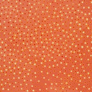 Mina Mina Jukurrpa (Mina Mina Dreaming) by Antoinette Napanangka Brown
