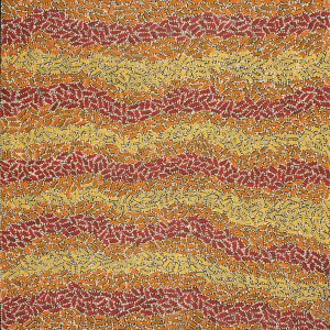 Warlukurlangu Jukurrpa (Fire country Dreaming) by Nathania Nangala Granites