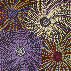 Ngapa Jukurrpa (Water Dreaming)  -  Puyurru by Evelyn Nangala Robertson