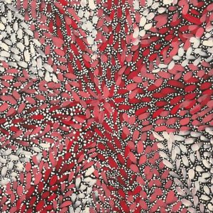 Warna Jukurrpa (Snake Dreaming) by Valma Nakamarra White