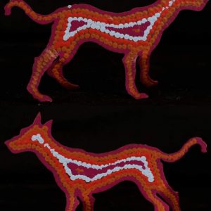 Stinky (2) by Warlukurlangu Artists