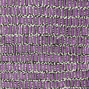 Ngapa Jukurrpa (Water Dreaming)  -  Puyurru by Trevina Nakamarra Gibson