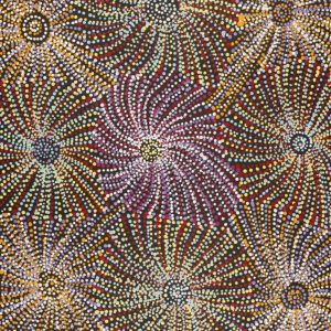 Ngapa Jukurrpa (Water Dreaming)  -  Puyurru by Evelyn Nangala Robertson